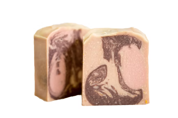 Sandalwood Day Spa Soap and Bath Bomb Gift Box