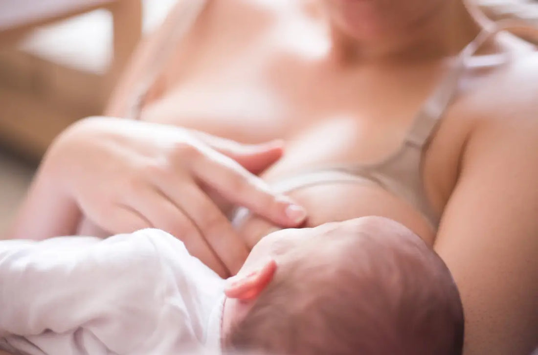 What Are the Best Nursing Bras for Large Busts? (D–K Cup Guide)