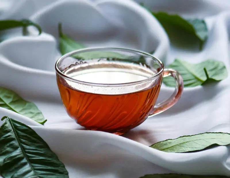 When to Start Raspberry Leaf Tea in Pregnancy